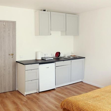 维萨吉纳斯Naujai Suremontuotas Butas Miesto Centre.公寓 外观 照片