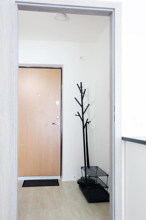 维萨吉纳斯Naujai Suremontuotas Butas Miesto Centre.公寓 外观 照片
